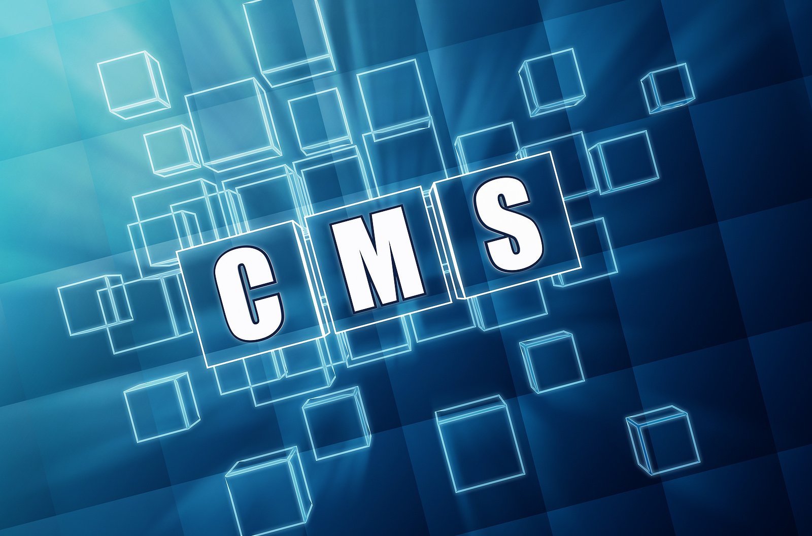 CMS Updates WCMSA Reporting Requirements: What You Need to Know